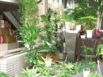 暑くなりましたぁ・・・。|「フラワーショップ　ジョージ」　（神奈川県横浜市緑区の花屋）のブログ